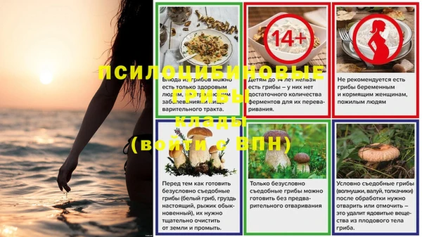 стафф Алексеевка