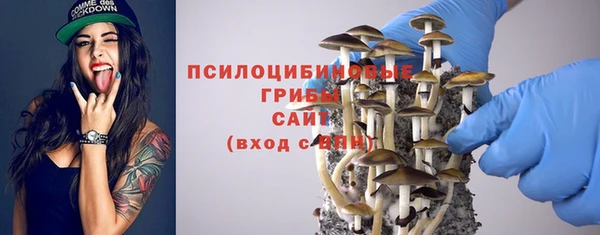 стафф Алексеевка