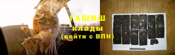 СК Алексин