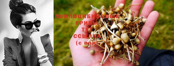 стафф Алексеевка
