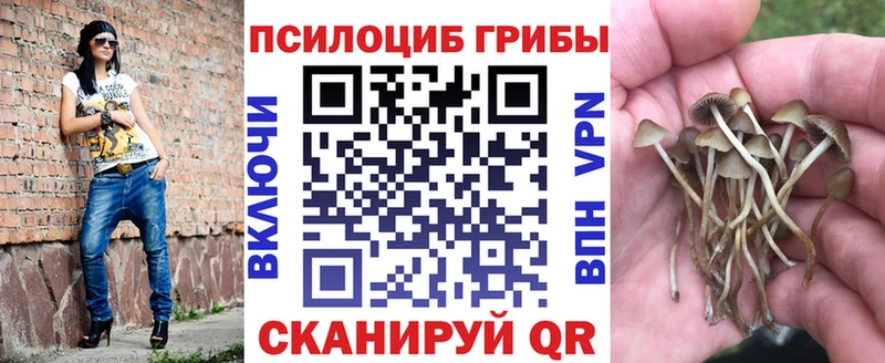 это телеграм  Ардон  Псилоцибиновые грибы мухоморы  купить  